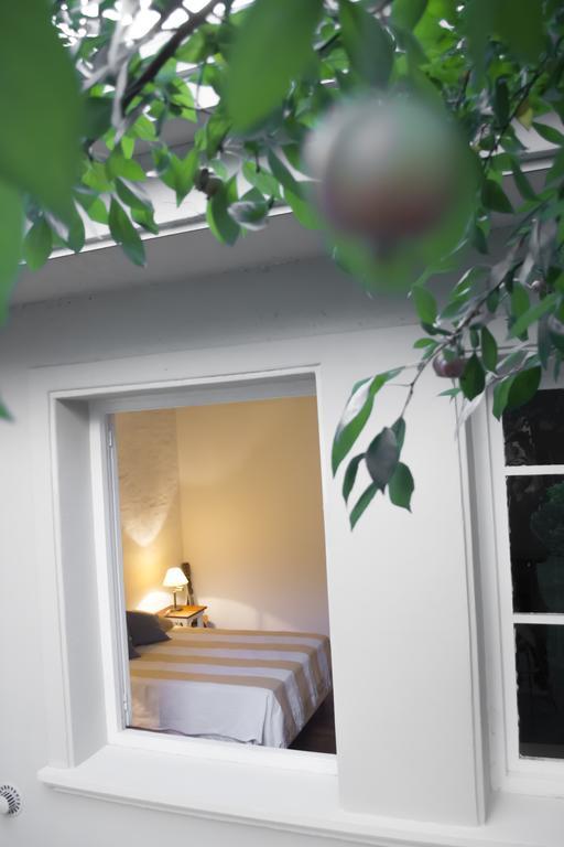 Casa Noble Villa Mendoza Oda fotoğraf