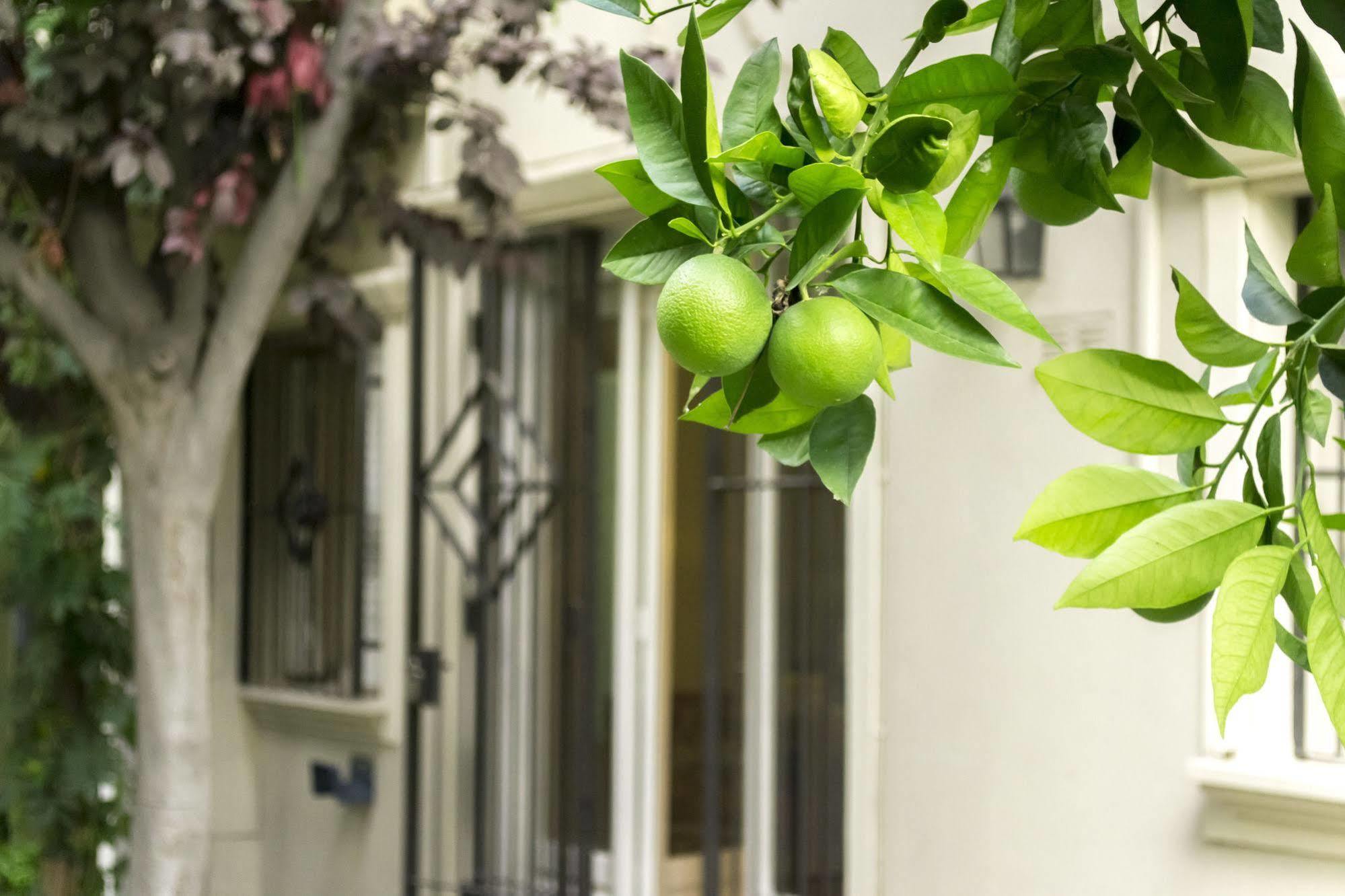 Casa Noble Villa Mendoza Dış mekan fotoğraf